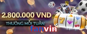 fanvin