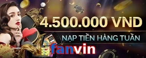 fanvin